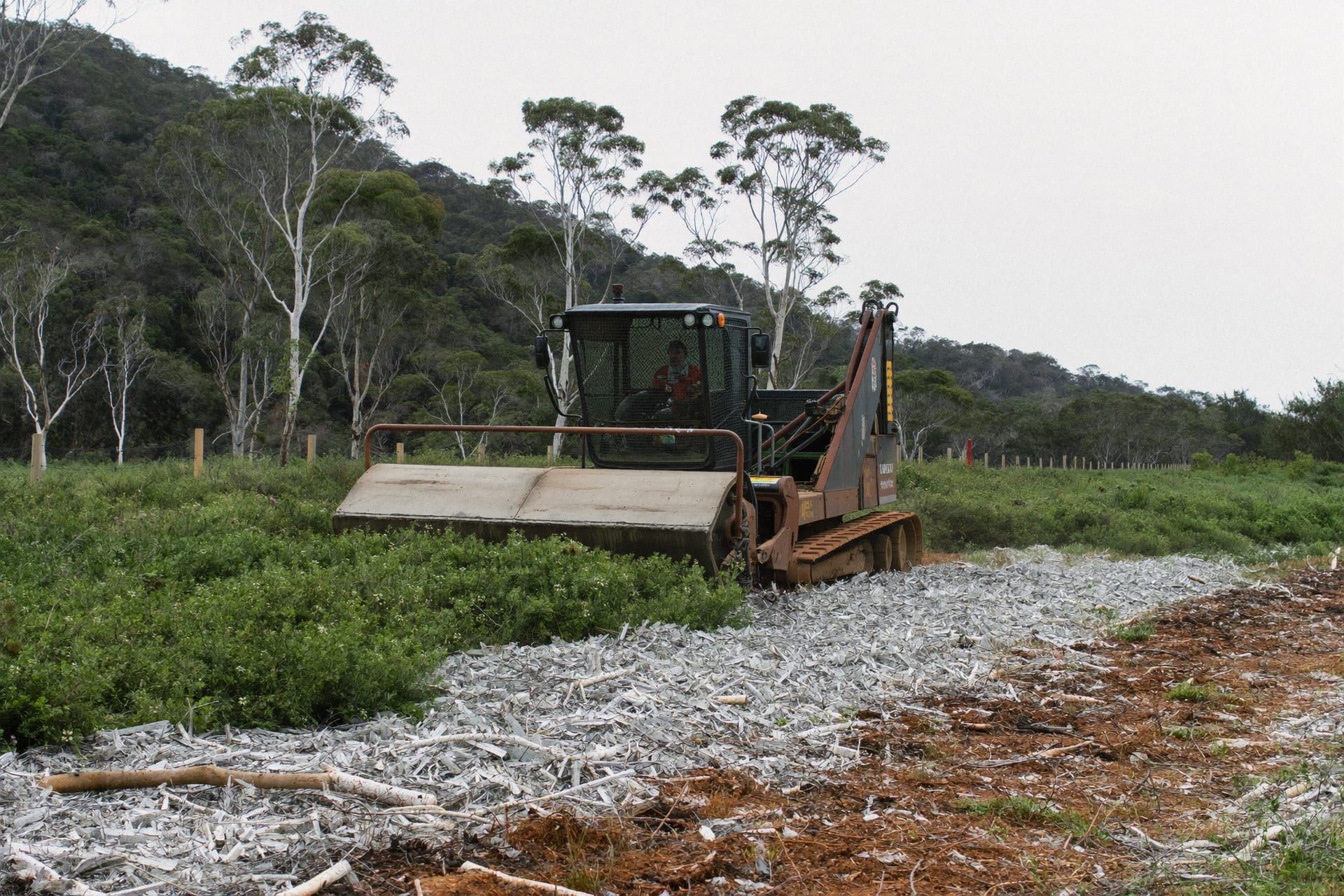 A tracked mulcher clearing regrowth on a hinterland acreage block